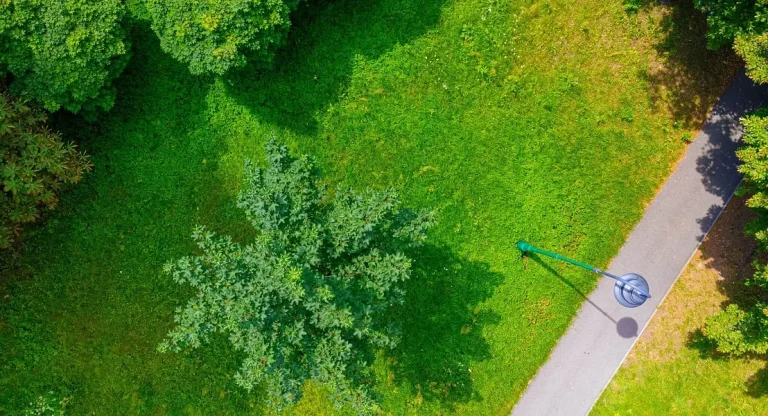 Exploring Chelmsford’s Best Green Spaces