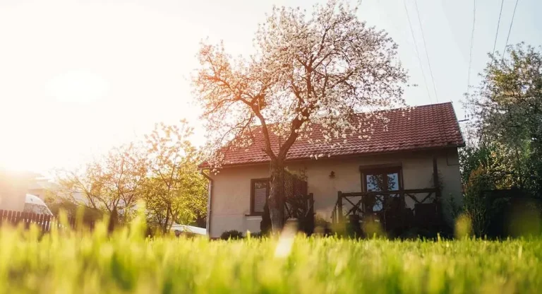 The Role of Letting Agents in Romford’s Growing Rental Market