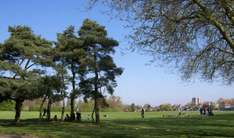 Chadwell Heath Area Guide