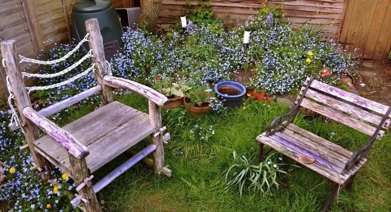 7 Things property searchers should look for in a garden