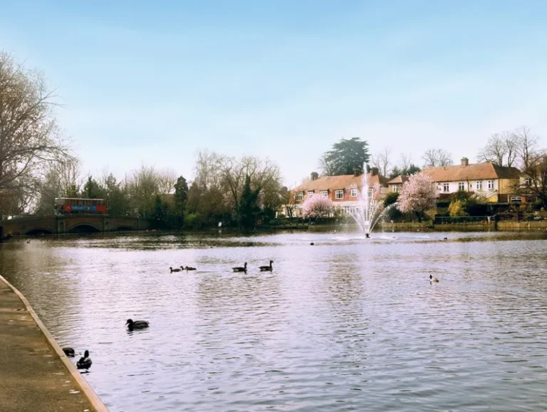 Romford Area Guide