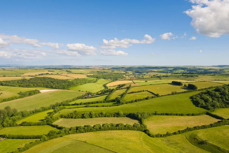 Renting in Rural Ongar: What Tenants Should Expect
